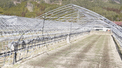 ビニールハウス