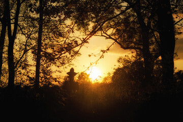 Naklejka premium Old cemetery in Lupkow Poland