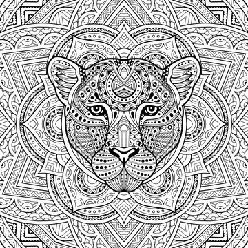Patterned leopard, puma, panther, cat head in the zentangle style of a white background passing. Tribal ornament painted by hand. Series ethnic animals. African, Indian. Mandala. Ornament.