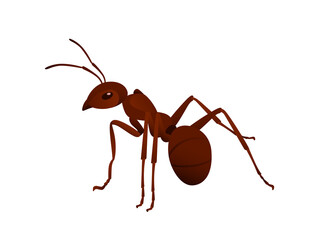Cute brown ant looks around cartoon bug animal design vector illustration isolated on white background