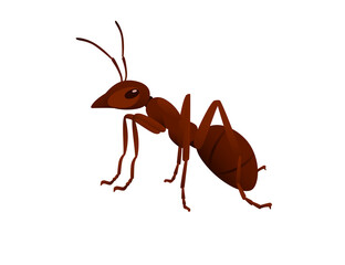 Cute brown ant looks around cartoon bug animal design vector illustration isolated on white background