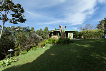Obraz premium Beautiful natural landscape; Green field and blue sky.