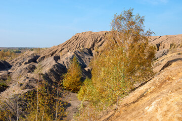 Konduki, Tula region, Romancevskie mountains, Abandoned Ushakov quarries. The mud erosion of the soil looks like mountains. The area is overgrown with young birches. Beautiful natural landscape