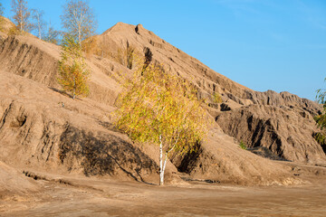 Konduki, Tula region, Romancevskie mountains, Abandoned Ushakov quarries. The mud erosion of the soil looks like mountains. The area is overgrown with young birches. Beautiful natural landscape