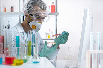 The laboratory assistant makes bacteriological inoculation in a petri dish