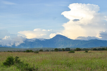 Obraz premium Scenic savannah grassland landscapes against sky in Tsavo National Park, Kenya