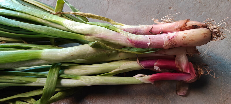 Closeup shot of wild leek onions