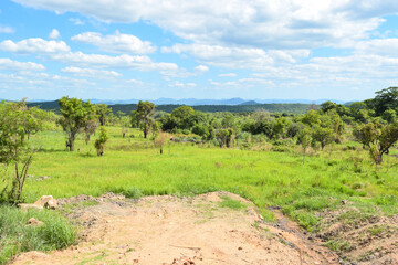 Scenic savannah grassland landscapes against sky in Tsavo National Park, Kenya