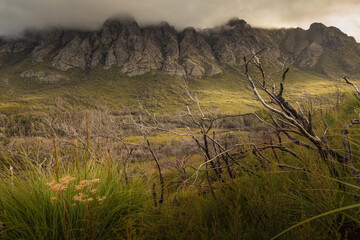 Cloudy Sentinels, Gordon River Road, Tasmania