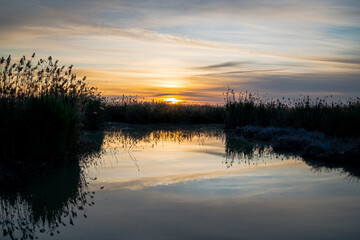 Spain. Sunrise in the El Hondo de Elche natural park. Alicante