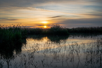 Spain. Sunrise in the El Hondo de Elche natural park. Alicante