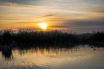 Spain. Sunrise in the El Hondo de Elche natural park. Alicante
