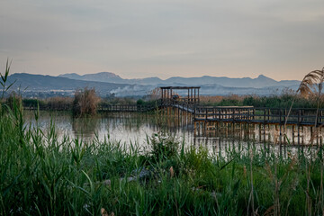 Spain. Sunrise in the El Hondo de Elche natural park. Alicante