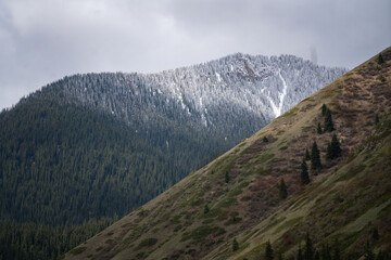 Naklejka premium Endless steppe in the valley at the foot of the mountains, bathed in bright sunlight. Amazing view on green mountains. mountain, covered with green trees, under a blue sky with clouds.