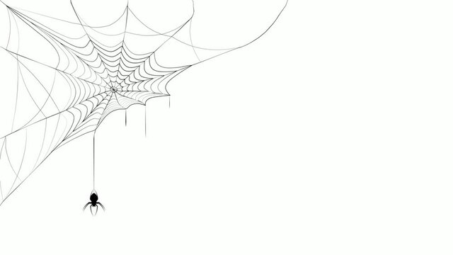 animated spider web sways in the wind. The spider descends and climbs up and down on the cobweb. Emptiness and despondency. Looped video