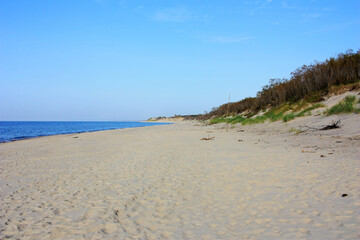 Sandy shore of the Baltic Sea