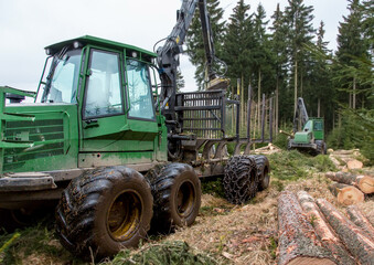 Fototapeta premium Holzernet