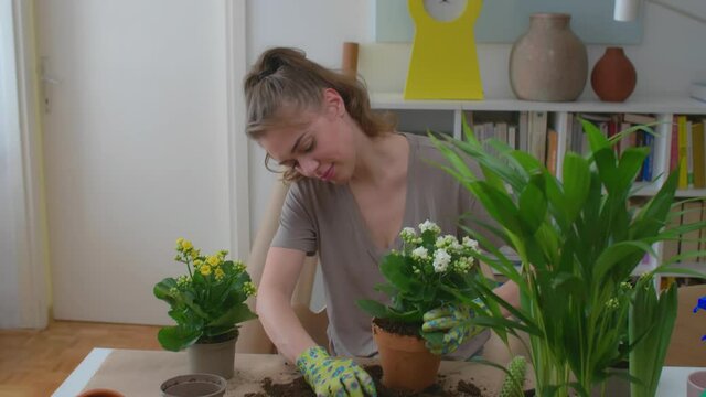 woman planting houseplants in her apartment