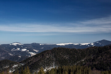 Fototapeta premium landscape with snow