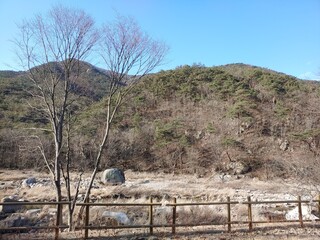 저푸른 초원위에