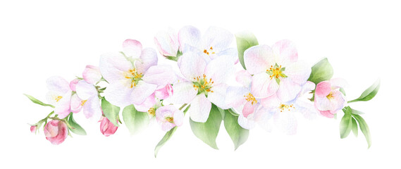 Fototapeta na wymiar Apple blossom arrangement with flowers, buds and leaves hand drawn in watercolor isolated on a white background. Watercolor illustration. Apple blossom. Floral garland.
