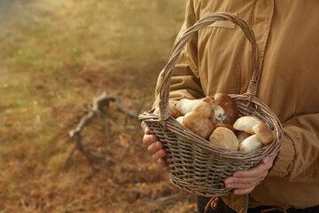 Woman holding basket with fresh mushrooms in forest, closeup
