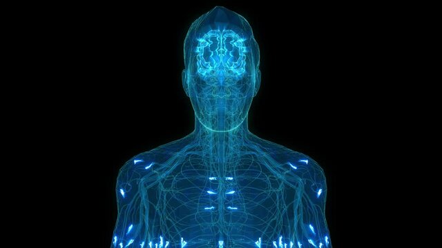 Human Brain and Nervous system