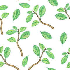 Branch with green leaves in seamless pattern on white background. Watercolor hand drawing illustration. Spring twig with young leaf. Perfect for digital paper.