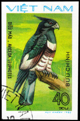 Postage stamp issued in the Vietnam with the image of the Black Baza, Aviceda leuphotes. From the series on Birds of Prey, circa 1982