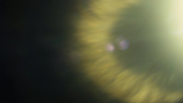 Real in camera light leaks and lens flare in 4k and 25fps. Cool video transitions and composing over your footage. 