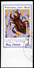 Postage stamp issued in the Vietnam with the image of the Squash Bug, Pterygamia srayi. From the series on Insects, circa 1982