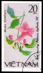 Postage stamp issued in the Vietnam with the image of the Petunia hybrida. From the series on Creeping flowers, circa 1980