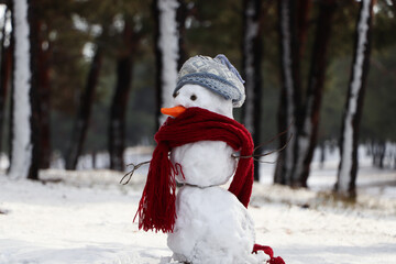 Funny snowman with scarf and hat in winter forest