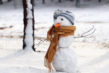Funny snowman with scarf and hat in winter forest