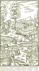 Der Planenherd, Haupt mit Grübchen und Rillen bedeckt. Herd aus rauhen.Brettern. Mit Fellen belegter Herd. Herd mit viereckigen Vertiefungen. Georgius Agricola, Berg- und Hüttenwesen, 1556. 