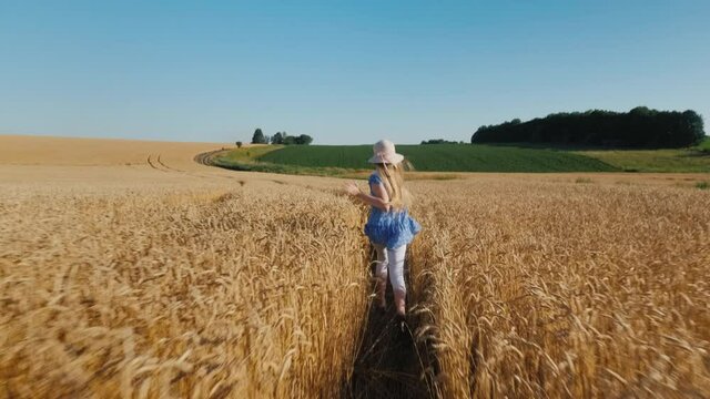 Happy child y runs across the wheat field, the wind blows away her hat