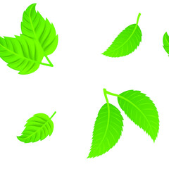 Leaves of trees on a white background, texture for design, seamless pattern, vector illustration