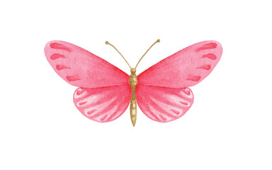Butterfly watercolor_1