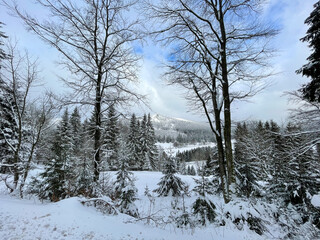 Kanzlersgrund mit Hohen Stein im Winter (Thüringer Wald)
