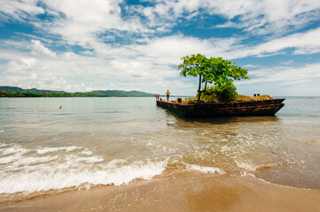 Dock surrounded by water with tree on top at Playa Negra, Puerto Viejo de Talamanca, Costa Rica