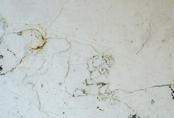Background structure can also be used as a poster wallpapers photographed in high resolution studio