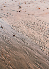 Texture of wet sand, sandy beach