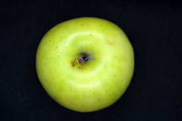 Large green sweet apple located on a black background. 