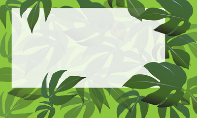 Light green background frame graphic filodendron © sakda