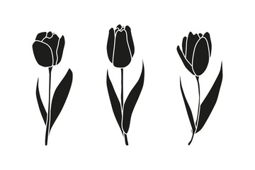 Beautiful hand drawn spring tulip flowers isolated on white background. Seasonal floral illustration. Black monochrome silhouettes. - obrazy, fototapety, plakaty