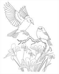 Print two birds coloring page