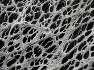 Fibra vegetale di fico d'india