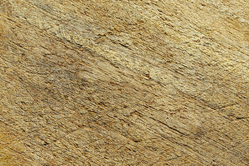 old wood texture