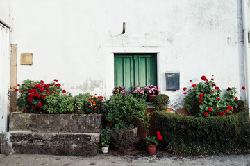 Fototapeta na wymiar scenic view on green door admist flowers