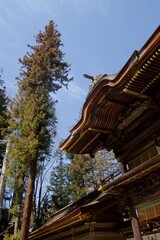 神社のある風景